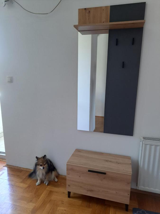 Apartman Zvezdica -Smederevo, Netflix Extérieur photo