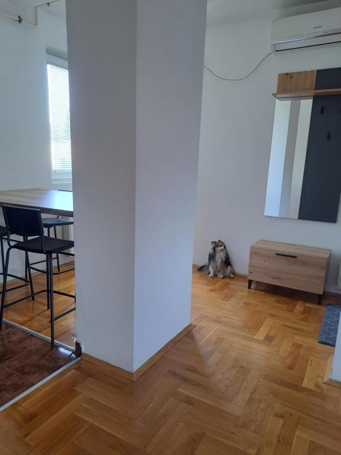 Apartman Zvezdica -Smederevo, Netflix Extérieur photo